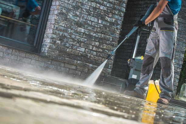 Best Soft Washing for Delicate Surfaces in Lomita, CA